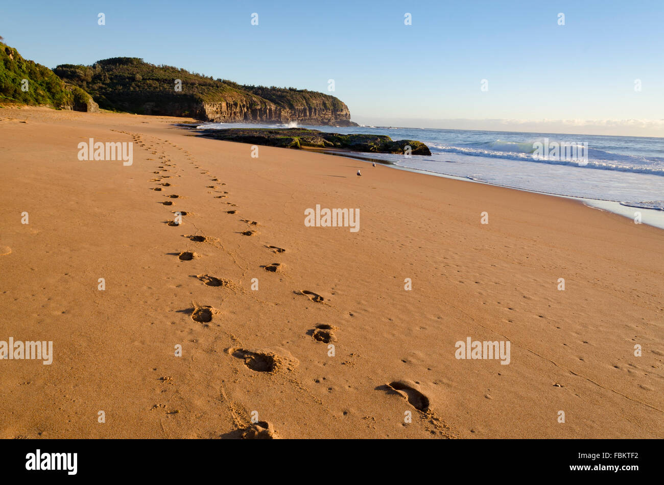 Zwei Spuren im Sand an einem Strand in Sydney. Fußstapfen im Strandsand bei Warriewood Stockfoto