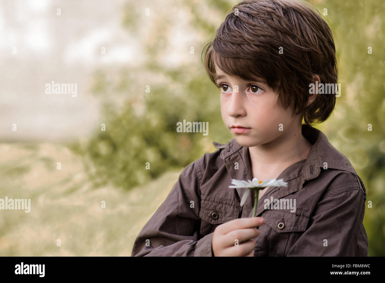 Jungen, die eine Margerite Daisy Blume Stockfoto