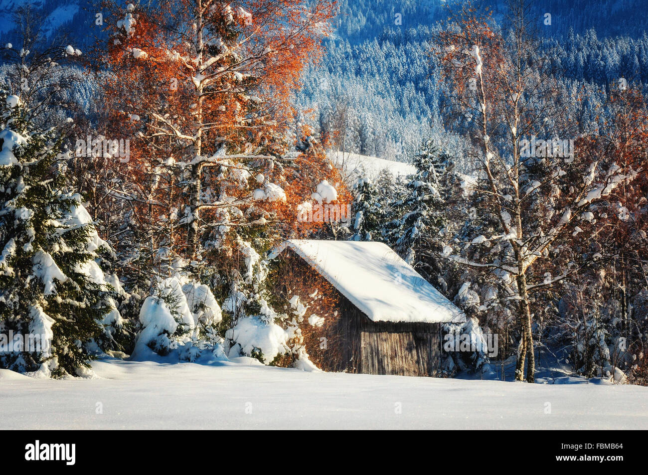 Schneebedeckte Winter Hütte, Schweiz Stockfoto