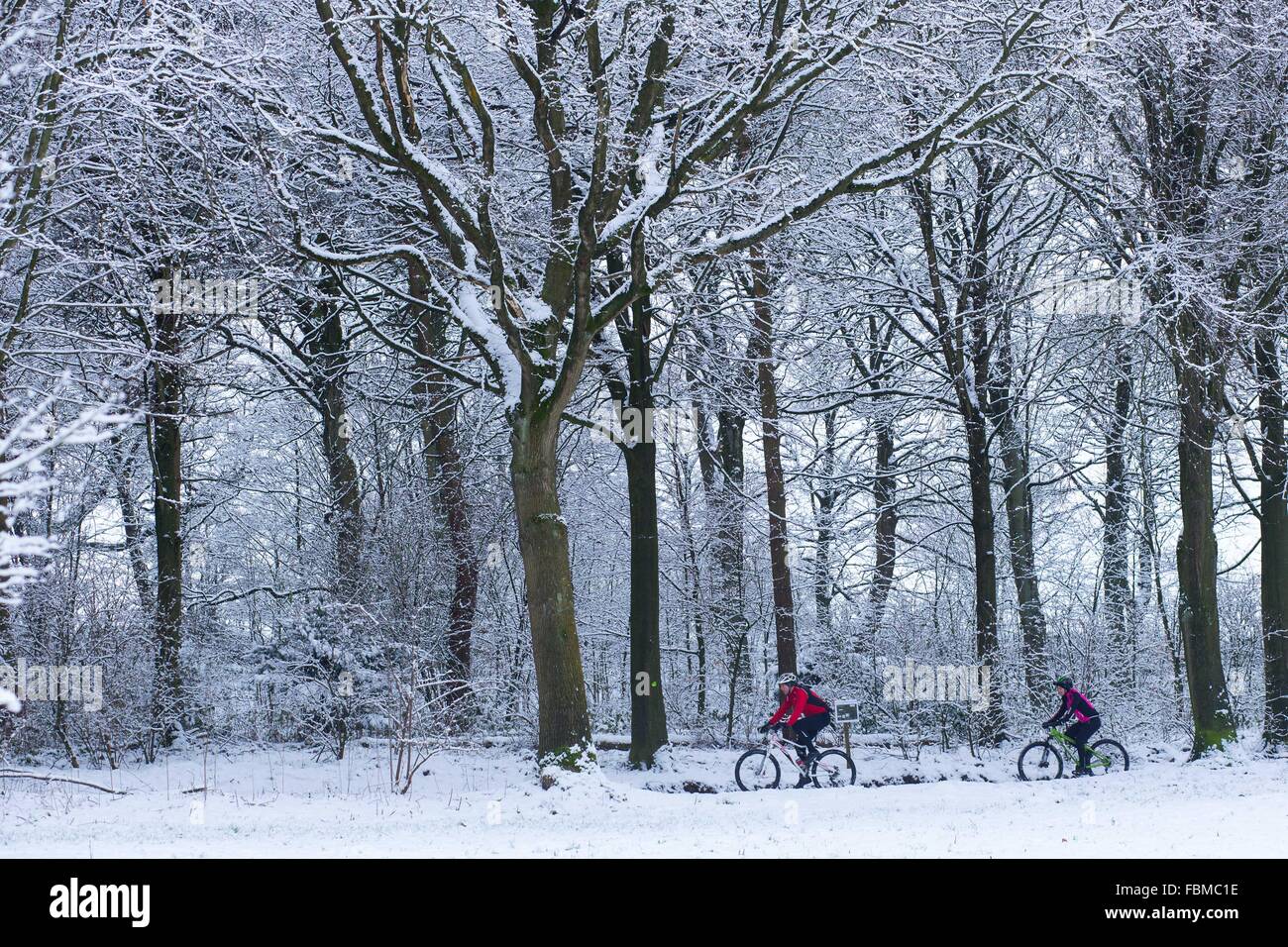 Zwei Radfahrer genießen Sie die verschneite Bedingungen in Otley Chevin Waldpark in Otley, West Yorkshire. Stockfoto