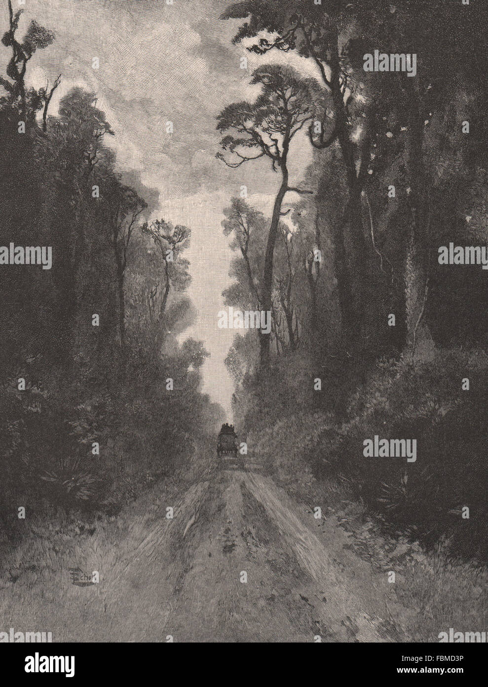 Durch die siebziger-Meile-Busch. Neuseeland, antiken Druck 1888 Stockfoto