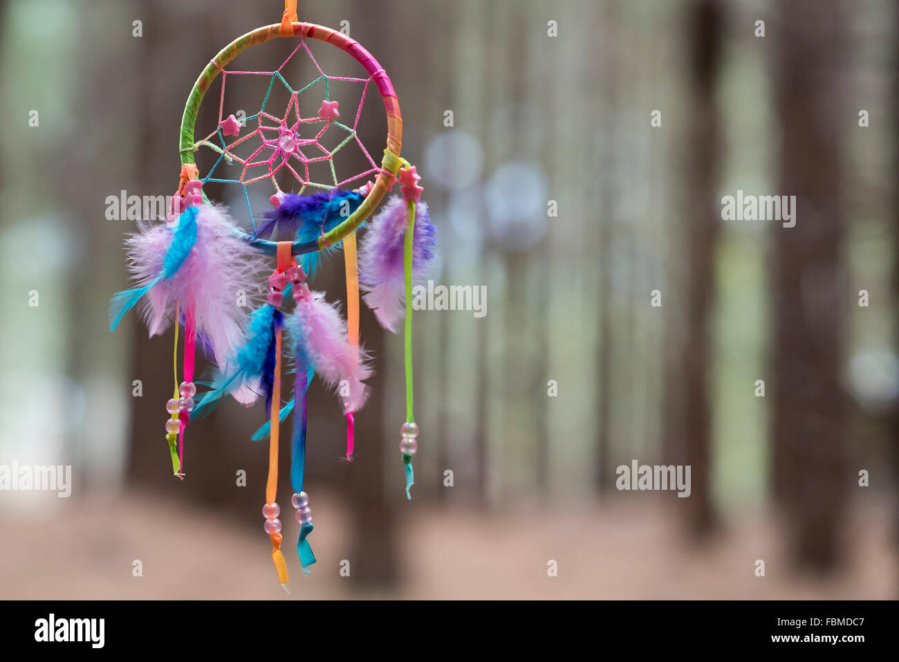Mehrfarbige Traumfänger Aufhängen im Wald Stockfoto