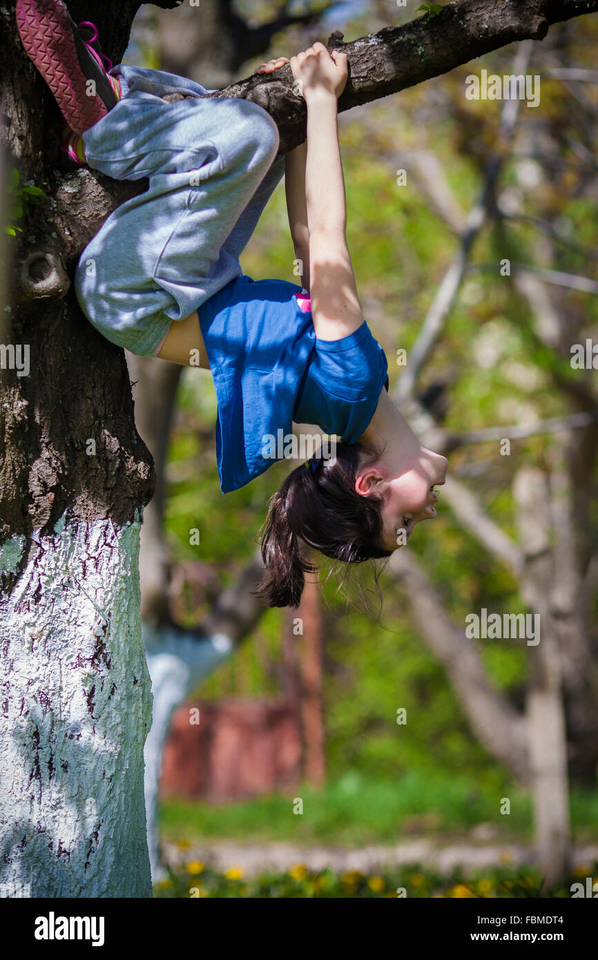 Junges Mädchen in einem Baum kopfüber hängend Stockfoto