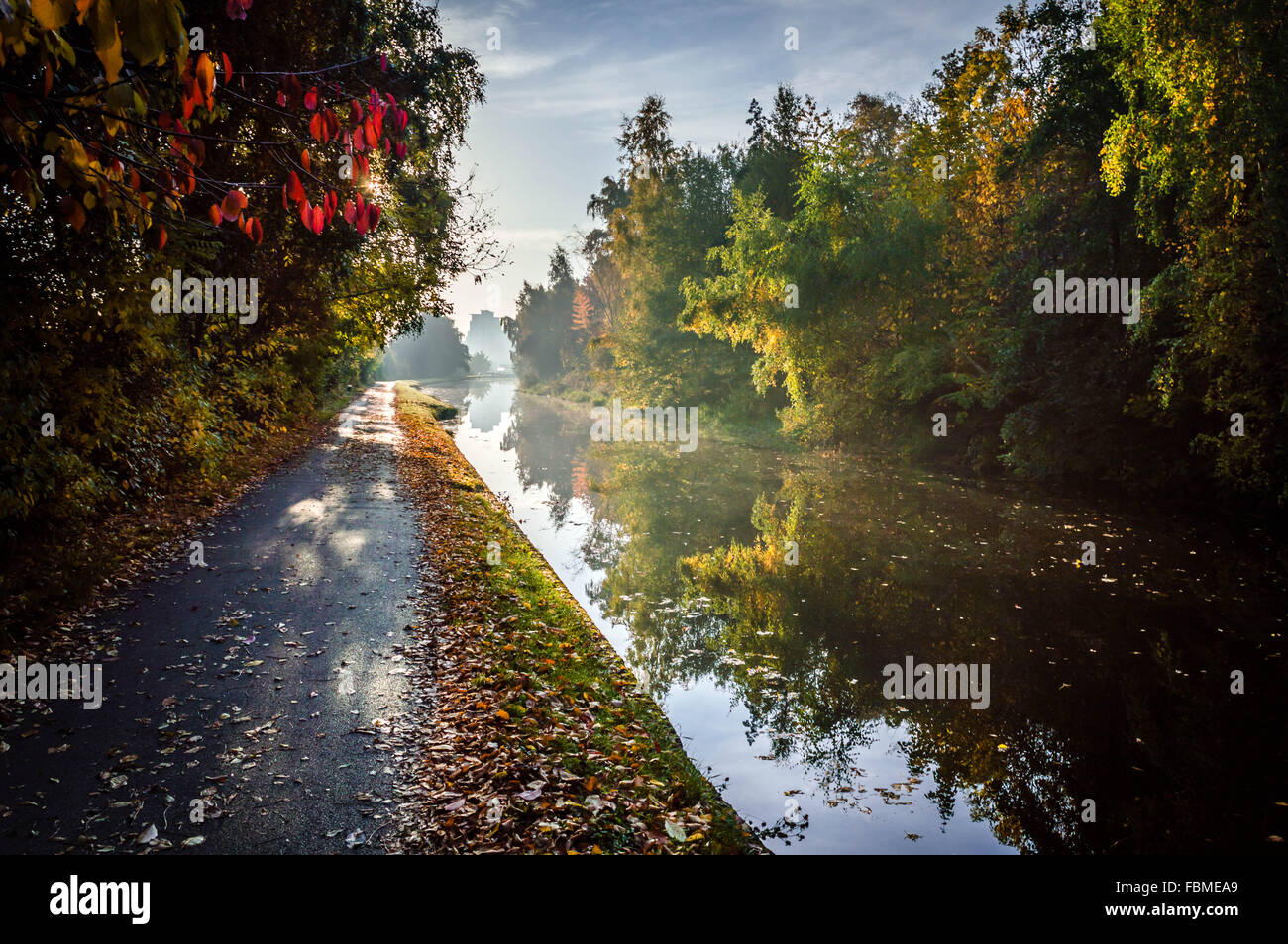 Autumn Towpath, Leeds, England, Vereinigtes Königreich Stockfoto