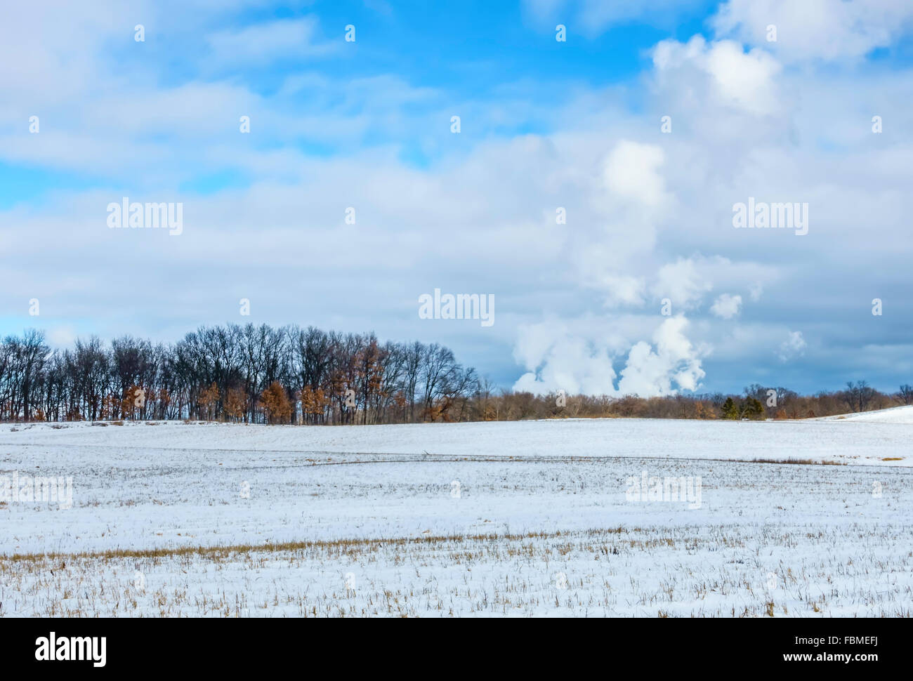 Dampf aus dem Kernkraftwerk in Field, Illinois, USA Stockfoto
