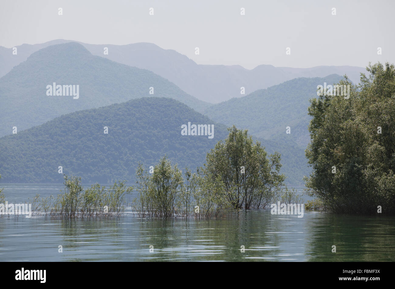 Skutarisee, Montenegro, an einem nebligen Morgen Stockfoto