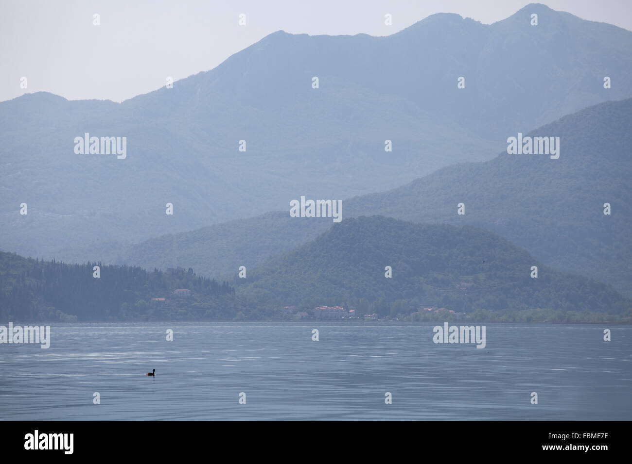 Skutarisee, Montenegro, an einem nebligen Morgen Stockfoto
