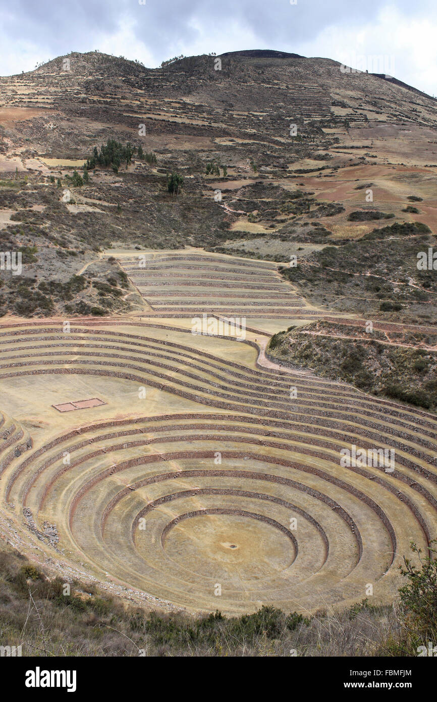 Inka-Terrassen im archäologischen Park Moray Stockfoto