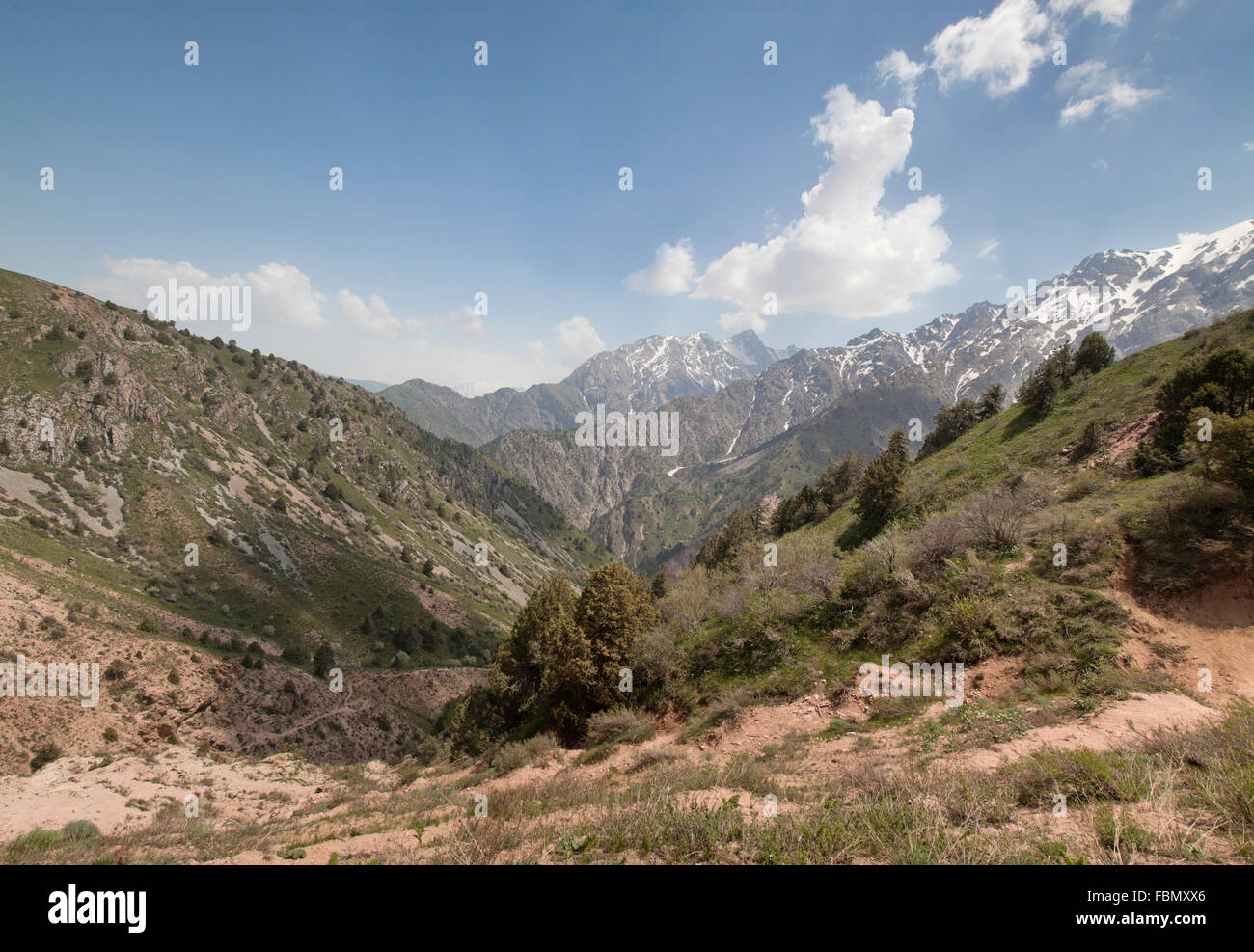 Panorama des Tschimgan-Gebirges, Usbekistan, an einem sonnigen Tag Stockfoto