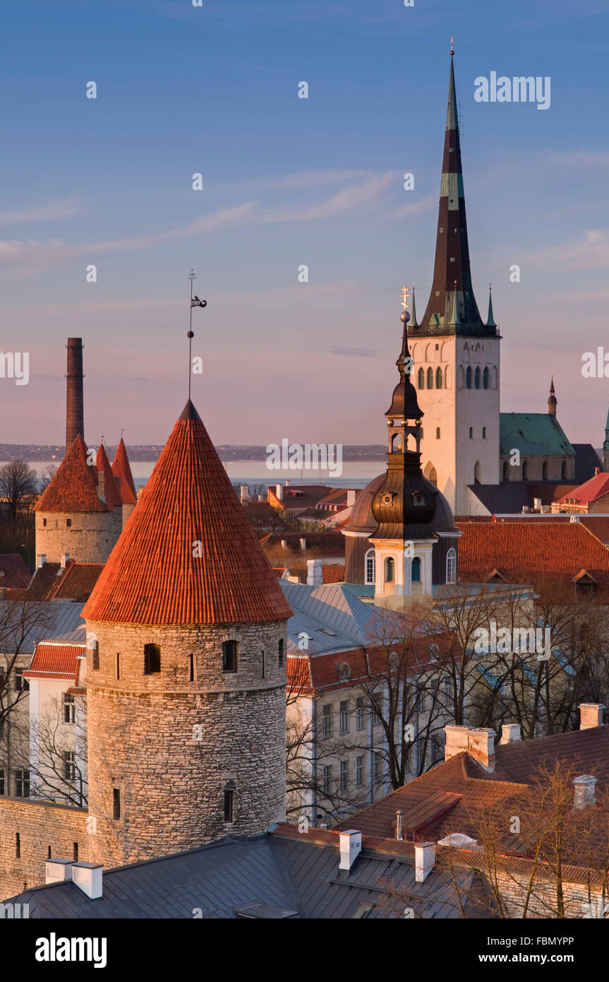 Old Town City View Tallinn Estland Stockfoto