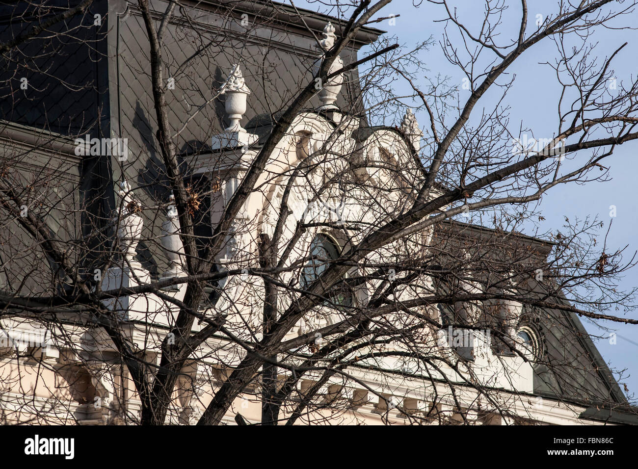 Architektonischer Blick durch Baum, Detail, Nahaufnahme, Nahaufnahme, Vintage-Architektur Stockfoto