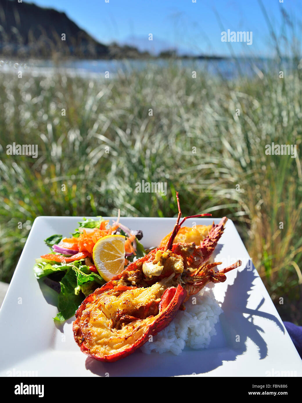 Crayfish (Hummer) Gericht im Freien serviert Essen an einen Straße Seite Fisch ausgeht, Kaikoura die Südinsel Neuseeland Stockfoto
