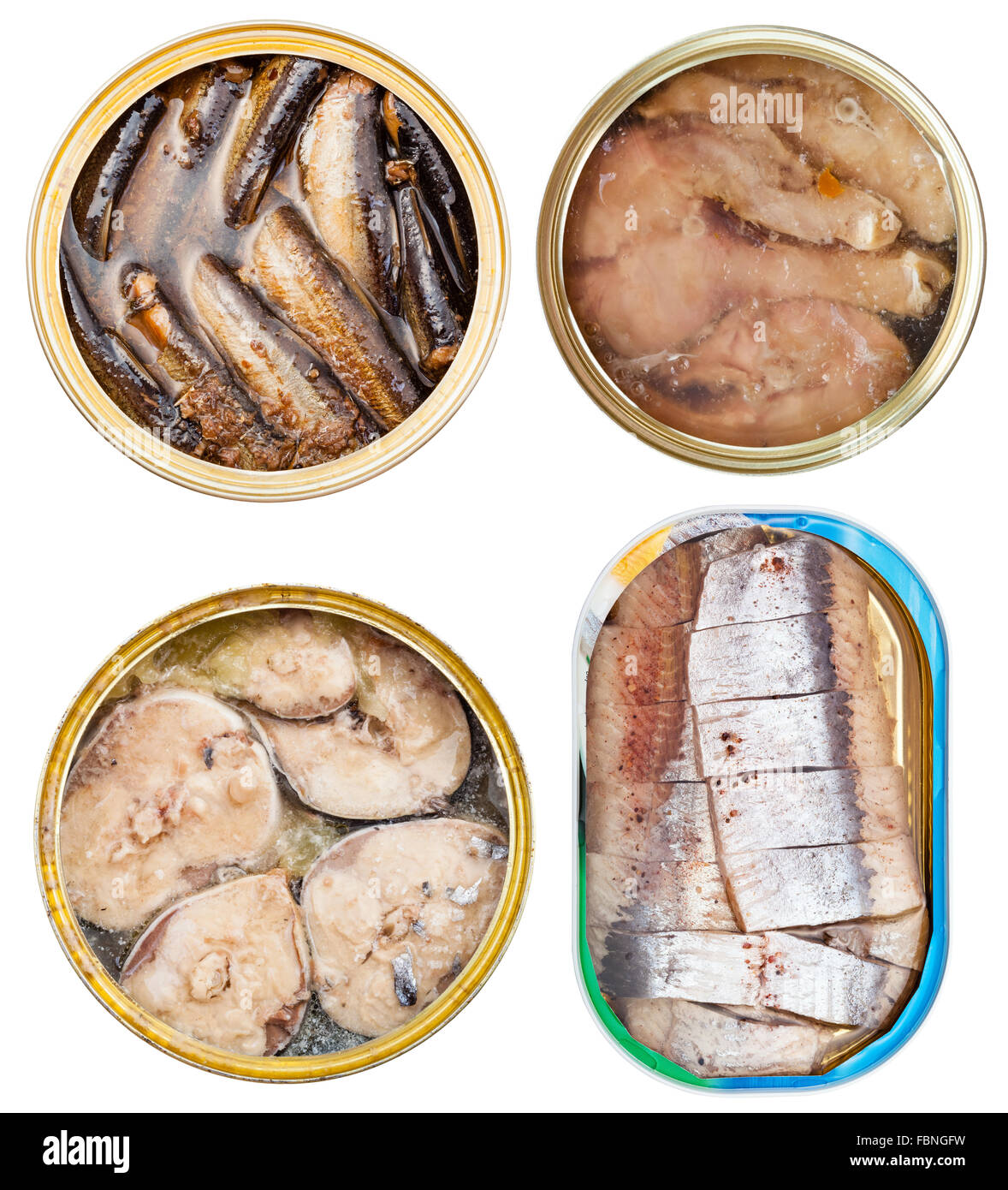 eingestellt am Fischkonserven in offenen Dosen isoliert auf weißem Hintergrund Stockfoto
