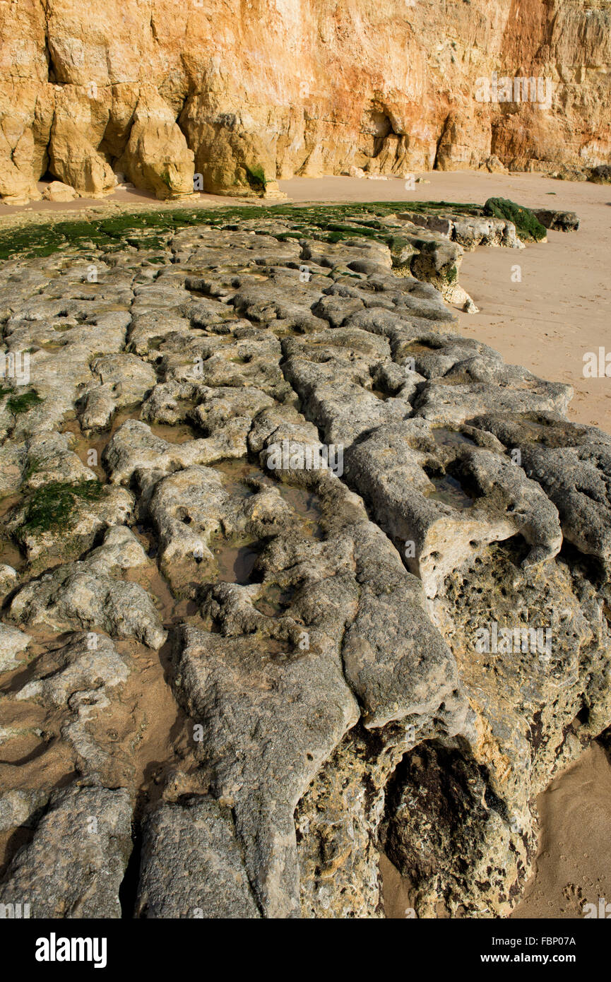 Felsformation am Praia da Rocha in der Algarve-Portugal Stockfoto