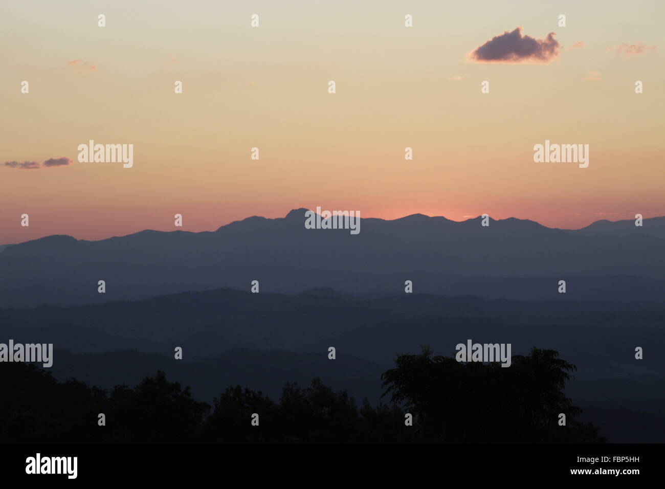 Green Mountains: Lamington National Park in der Abenddämmerung Stockfoto