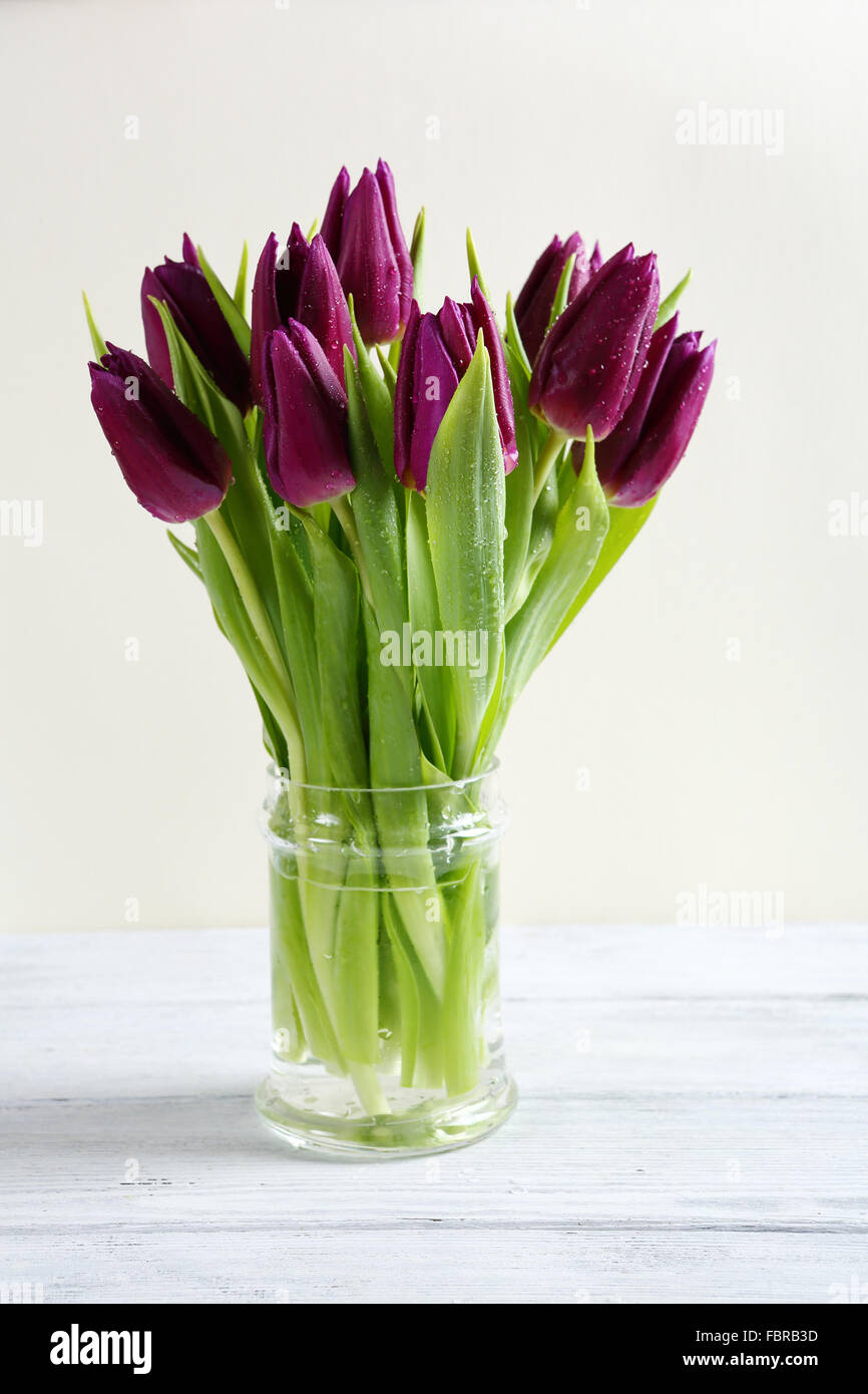 Tulpen in einer Glasvase, Frühling Stockfoto