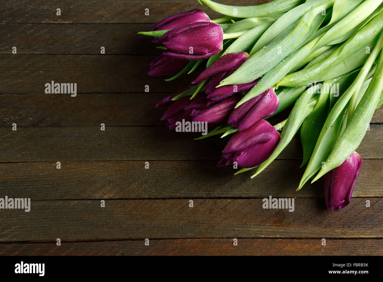 Reihe von Tulpen auf den Brettern, Blumen Stockfoto