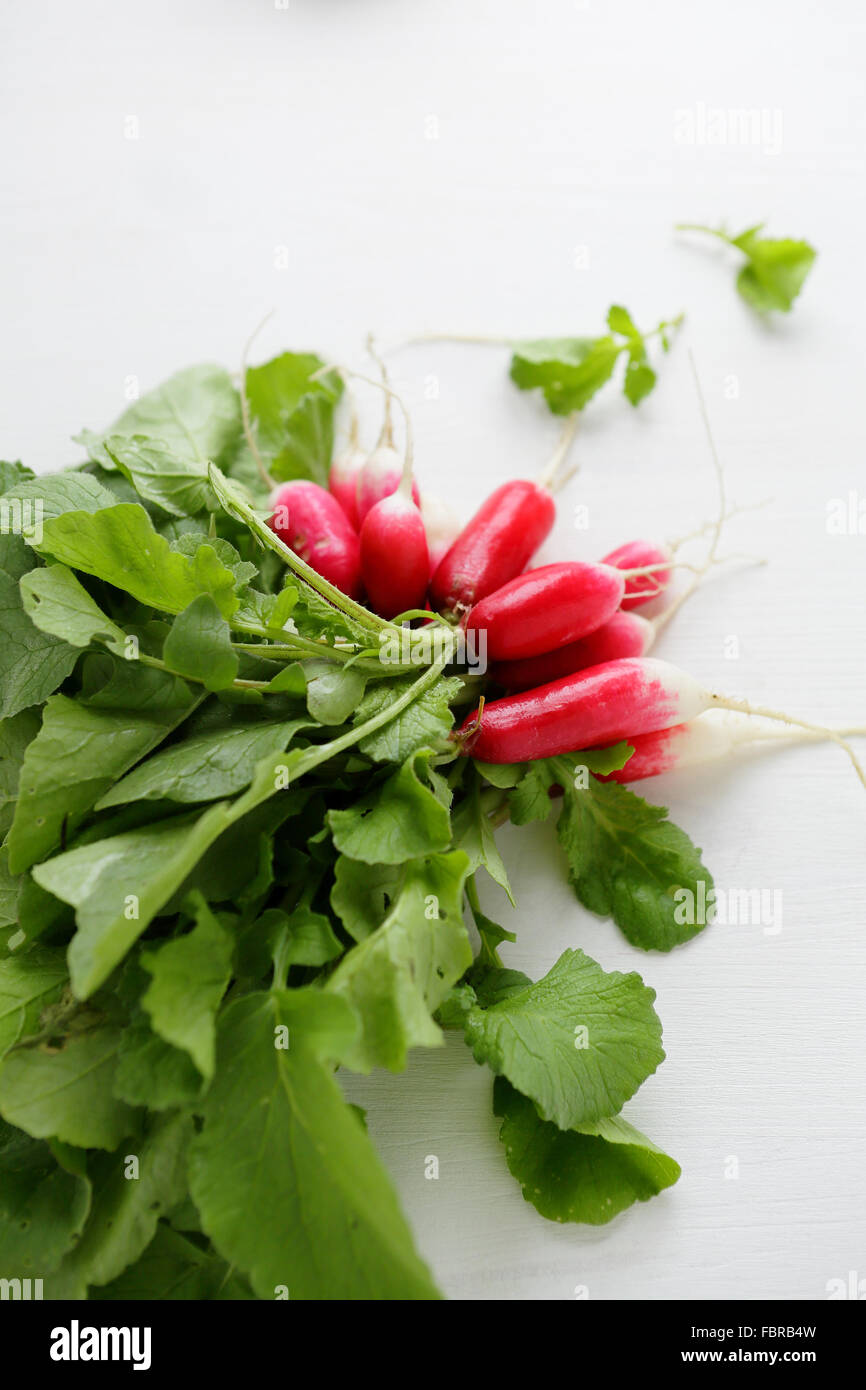 frische Radieschen auf Tisch, Gemüse Stockfoto