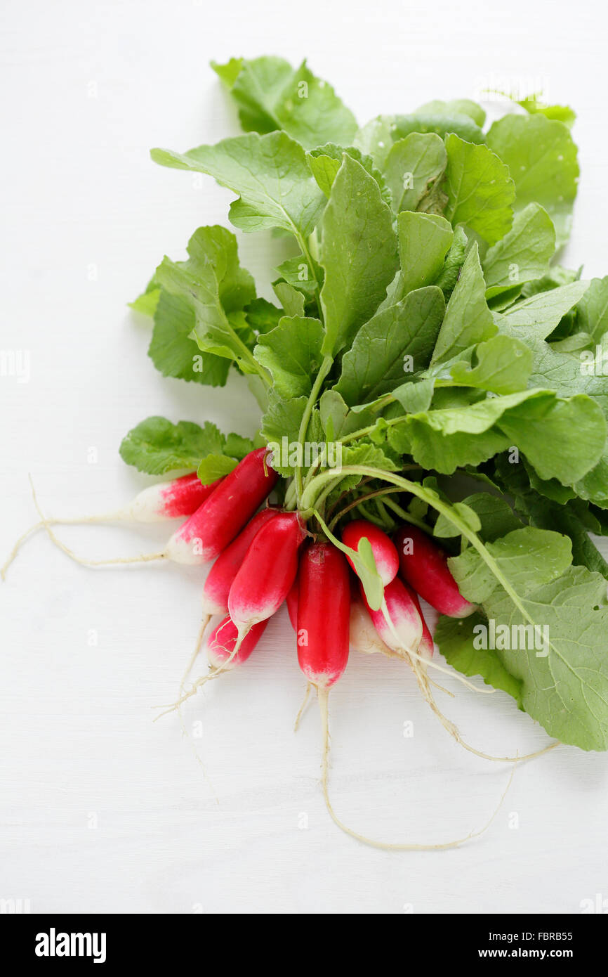 frische Frühlingsluft rote Radieschen auf Tisch, kochen Zutaten Stockfoto
