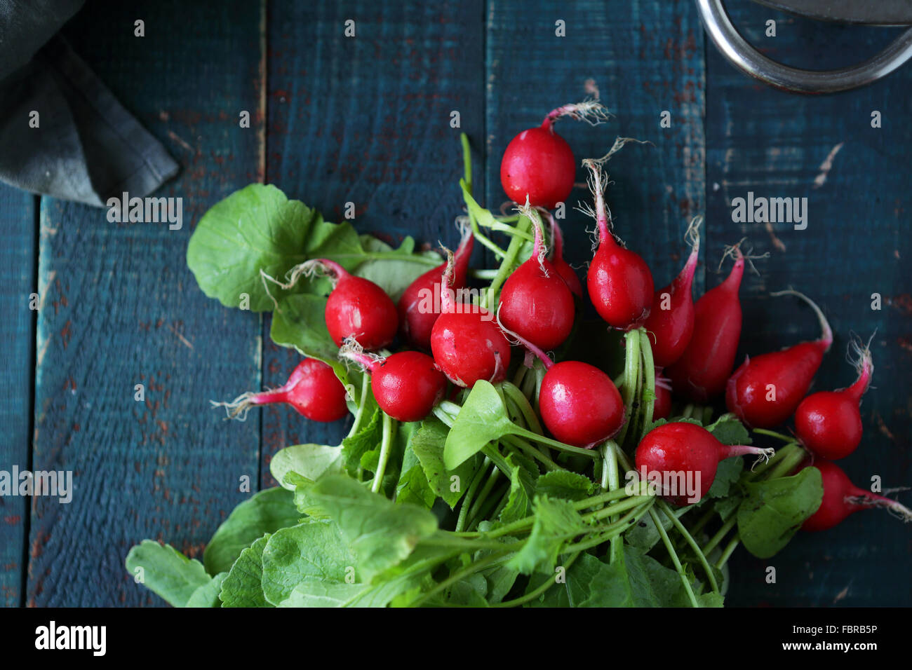 frische Radieschen auf Tisch für Salat, Frühling Gemüse Stockfoto