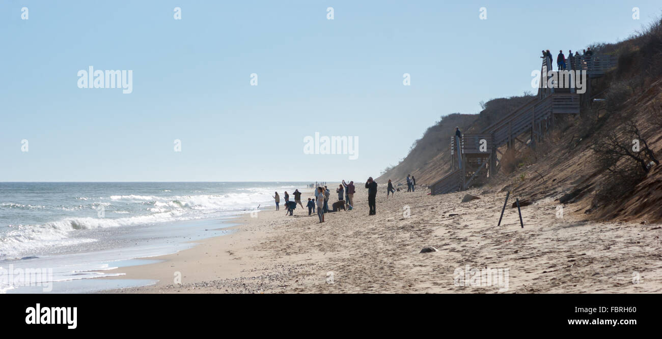 Nauset Licht Strand im Herbst. Menschen, die Sonne genießen und entspannen am Strand. Cape Cod National Seashore, Massachusetts Stockfoto