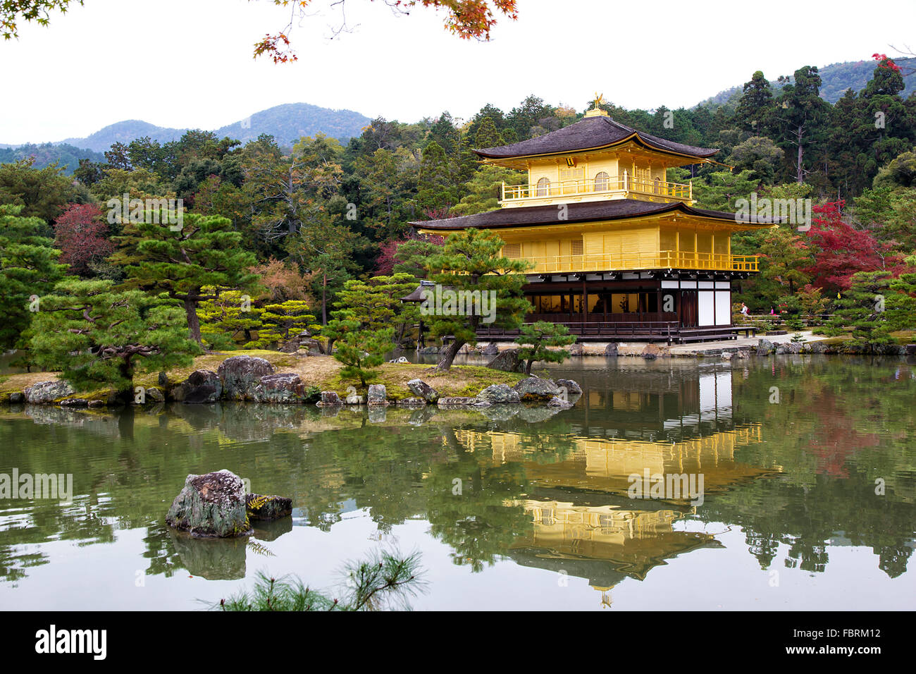 Kinkaku-Ji, Golden Pavilion, Kyoto, Japan Stockfoto