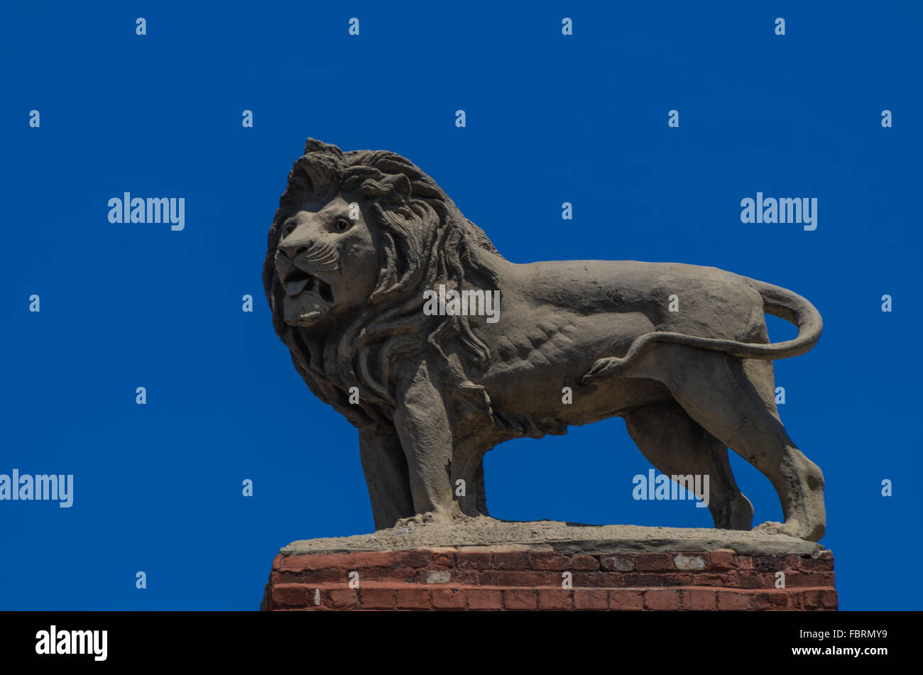 Statue eines Löwen steht auf den alten Löwen Gebäude in Adelaide, der Hauptstadt von South Australia Stockfoto