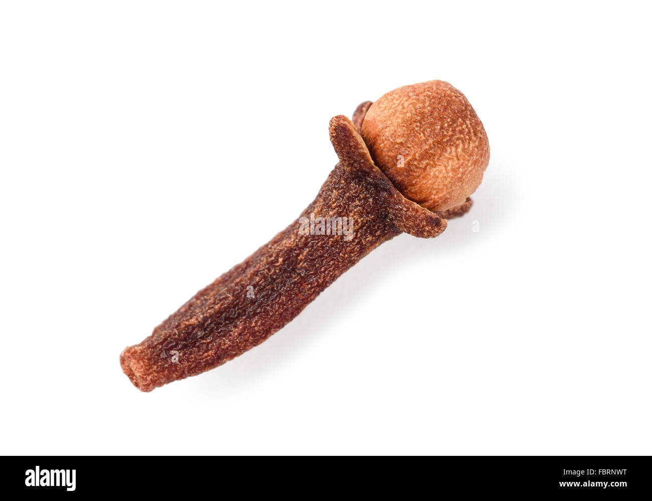 Gewürznelke isoliert auf weißem Hintergrund Stockfoto