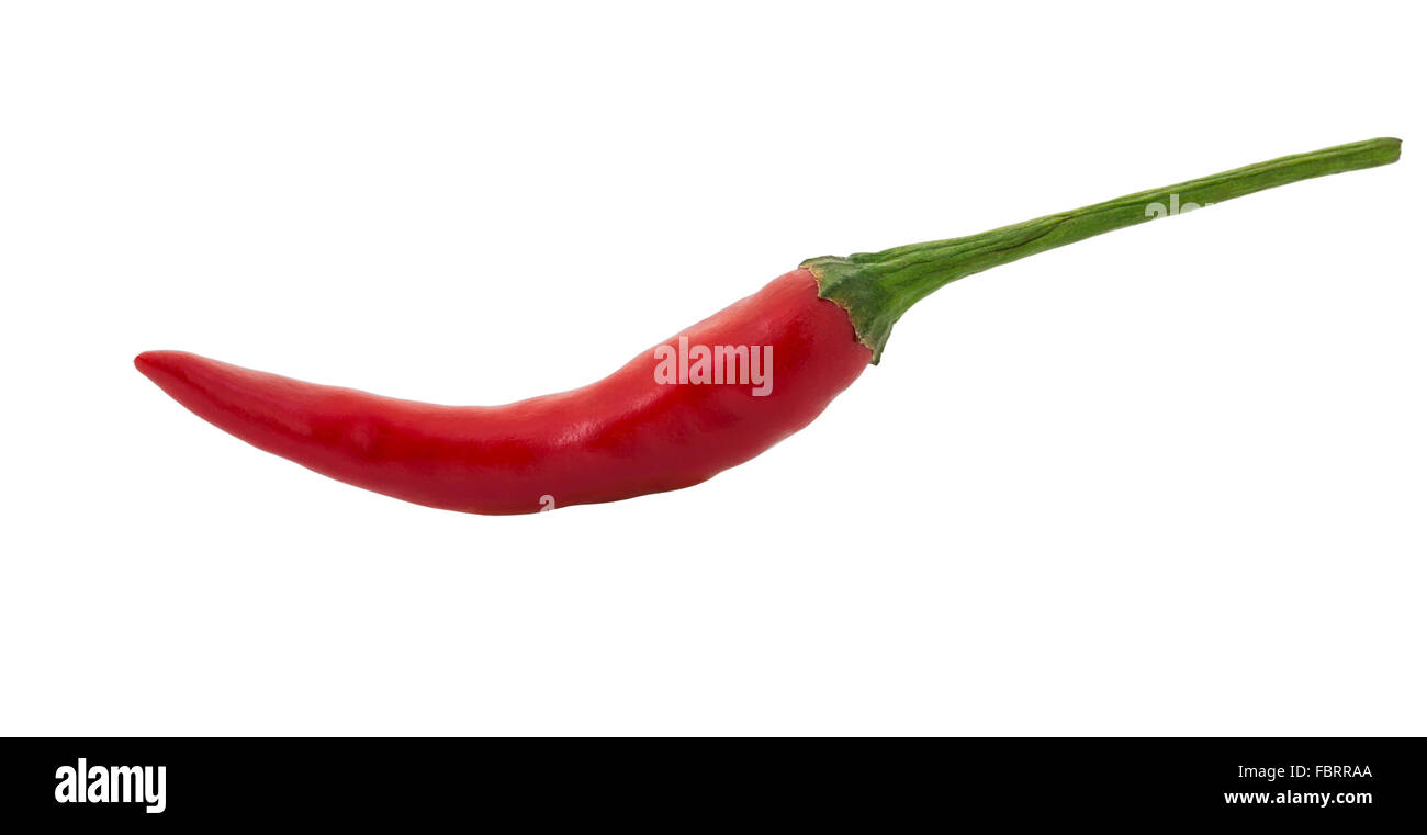 Einzelne rote Chili isoliert auf weißem Hintergrund und Clipping-Pfad Stockfoto