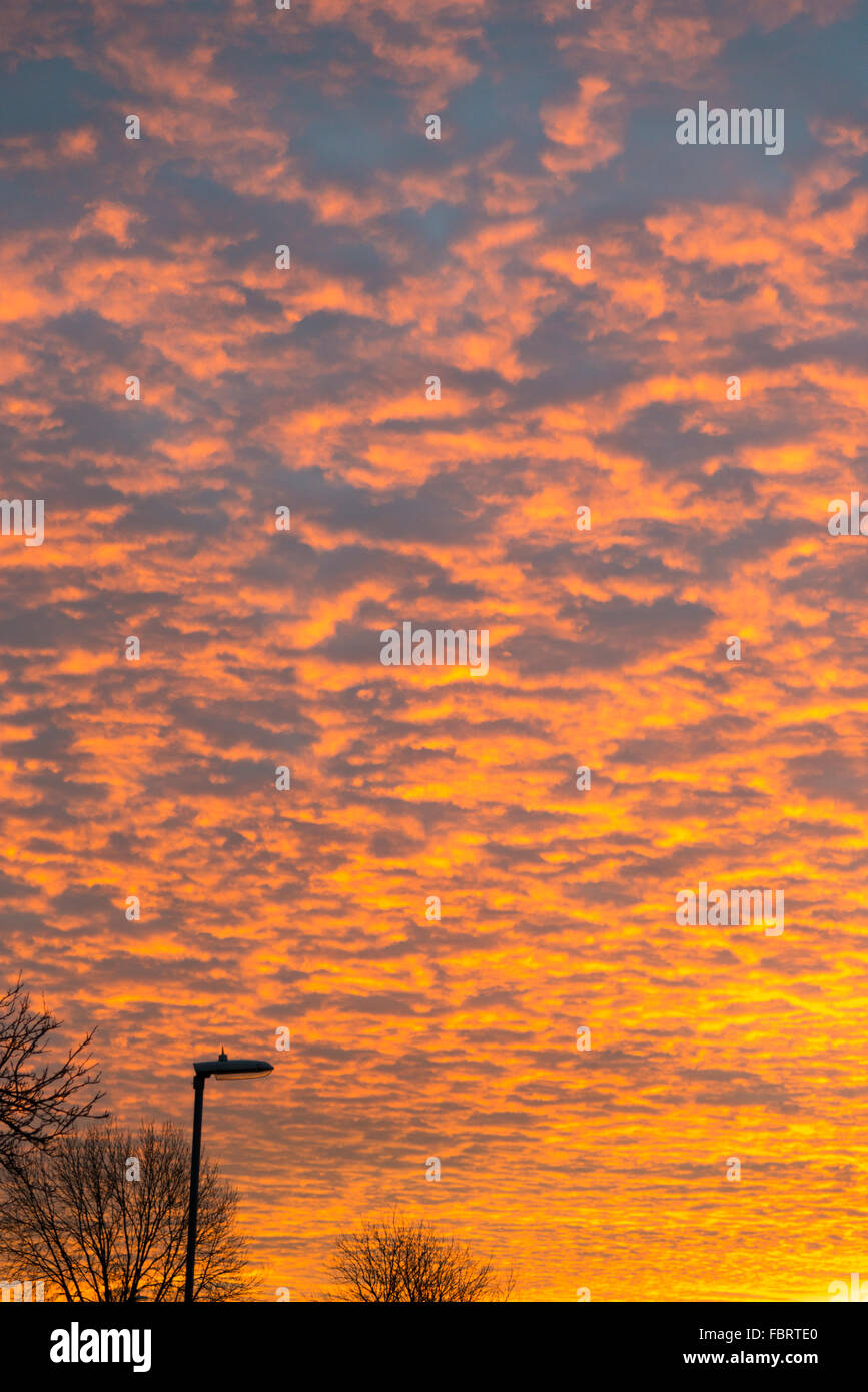 Cambridgeshire, Großbritannien. 19. Januar 2016. Großbritannien Wetter. Einen spektakulären Winter-Sonnenaufgang in Willingham Cambridgeshire UK nach Temperaturen auf minus 6 Grad über Nacht, der kältesten bisher diesen Winter im Südosten der des Landes. Kredit Julian Eales/Alamy Live-Nachrichten Stockfoto