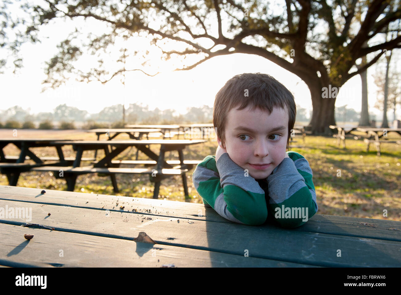 Junge sitzt an Picknick-Tisch im Park, Porträt Stockfoto