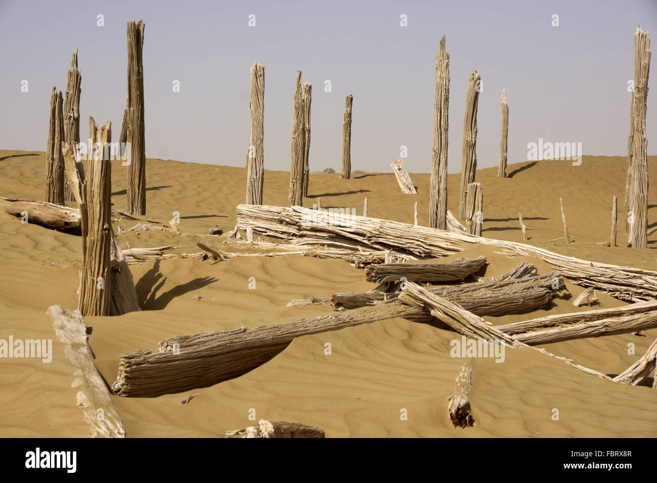 Keriya Grafschaft Hotan Präfektur Taklimakan Wüste Xinjiang autonome Region China Stockfoto