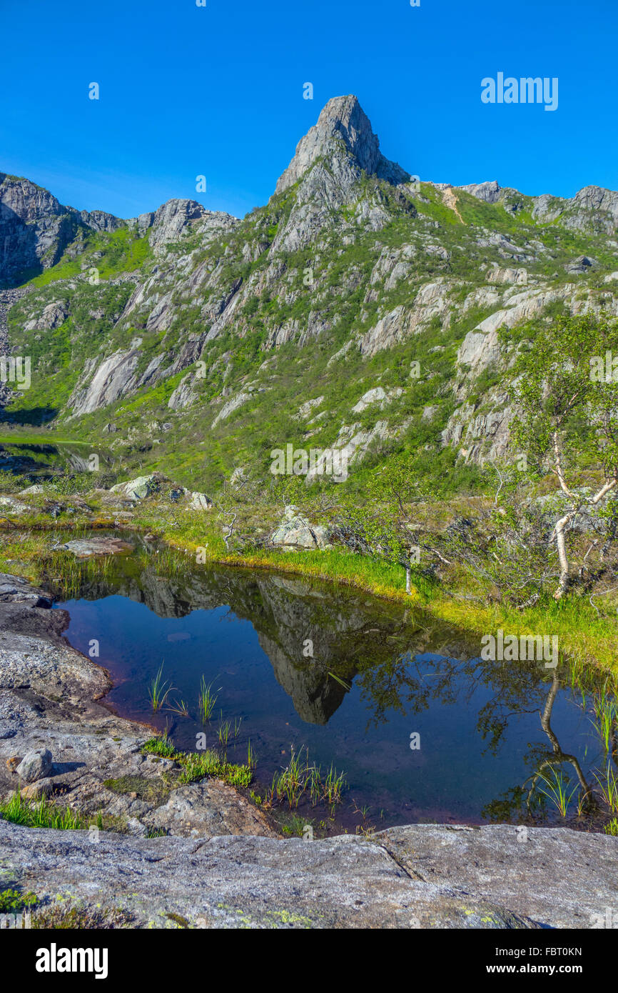 Glomtinden Peak spiegelt sich im kleinen Pool, Flachsbude, Lofoten-Inseln Stockfoto