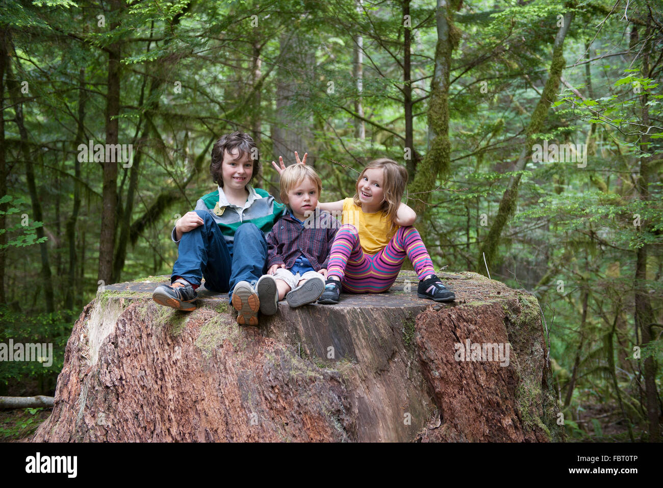 Kinder sitzen zusammen auf großer Baum Baumstumpf im Wald Stockfoto