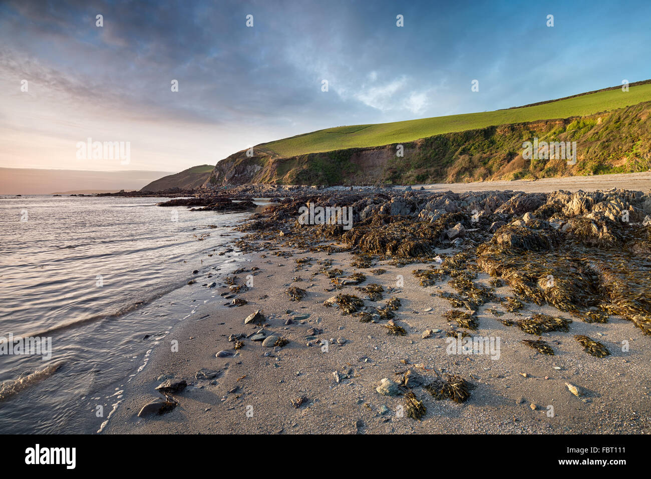 Hoodny Strand von Portwrinkle auf Whitsand Bay an der südlichen Küste von Cornwall Stockfoto