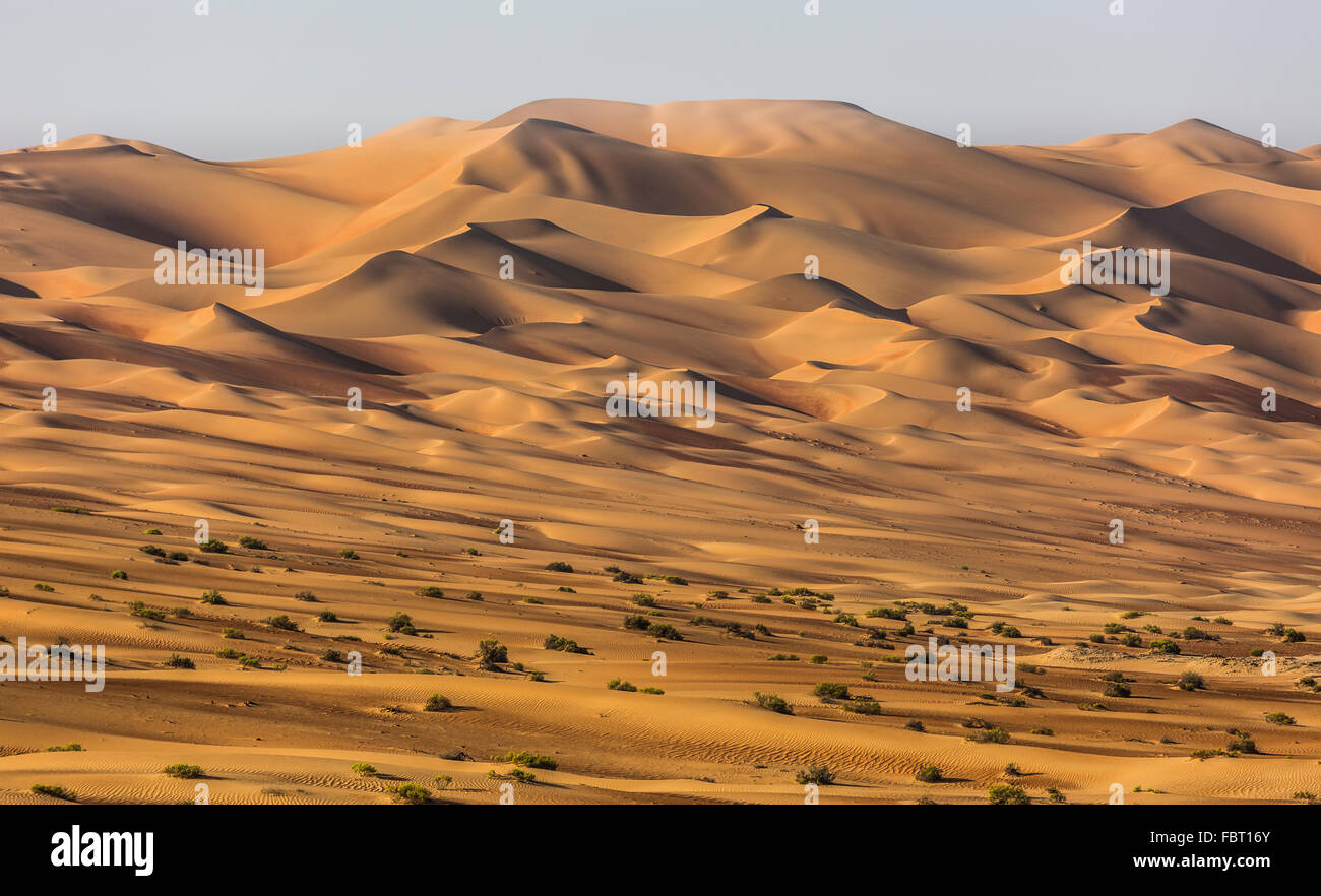 Sanddünen in der Wüste in der Nähe von Al Hamaìm, Rub' al Khali oder Khali, Vereinigte Arabische Emirate Stockfoto