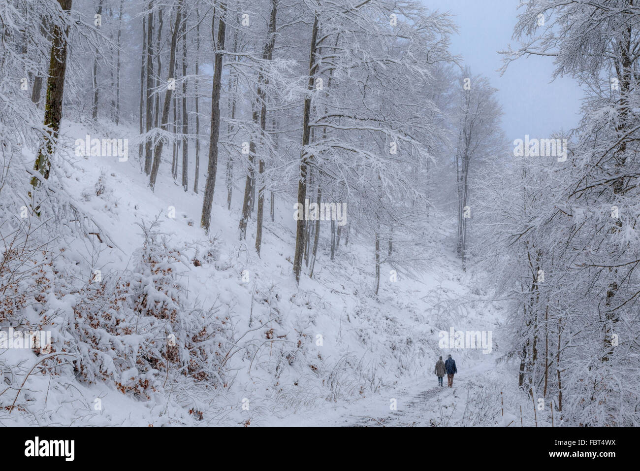 Fuß in ein Winterwunderland, Girkhausen, Bad Berleburg, im Sauerland, Nordrhein-Westfalen, Deutschland. Stockfoto