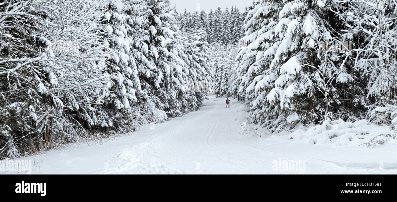 Langlaufen in einer malerischen Winterlandschaft, Girkhausen, Bad Berleburg, im Sauerland, Nordrhein-Westfalen, Deutschland. Stockfoto