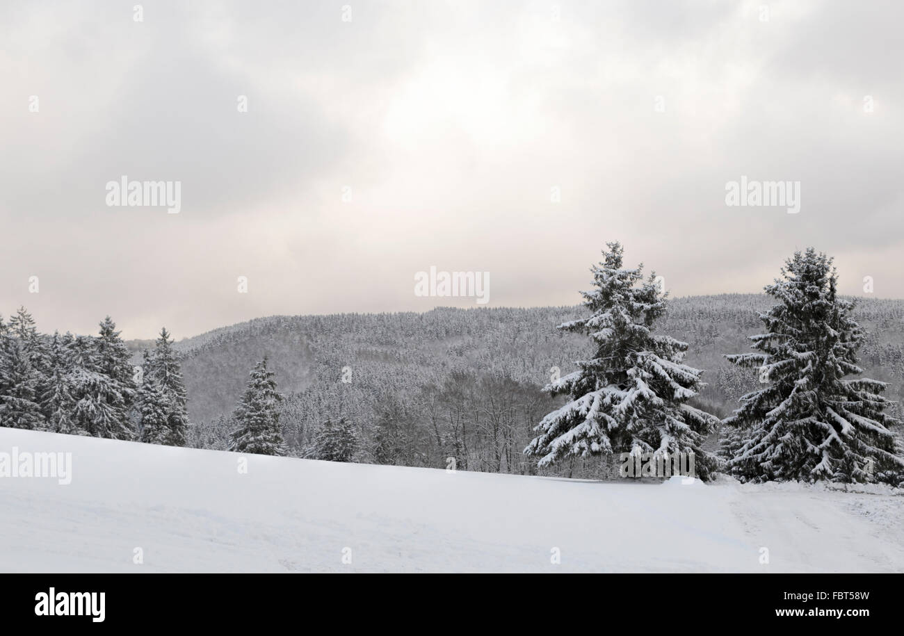 Winterliche Landschaft bedeckt im frischen Schnee in Girkhausen, Bad Berleburg, Sauerland, Nordrhein-Westfalen, Deutschland. Stockfoto