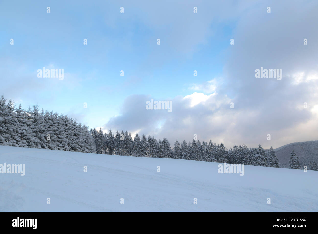 Ruhige Winterstimmung in einer verschneiten Landschaft in Girkhausen, Bad Berleburg, Sauerland, Nordrhein-Westfalen, Deutschland. Stockfoto