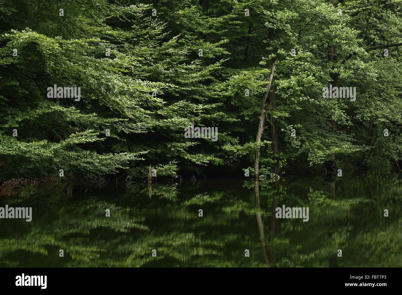 Landschaft Stockfoto