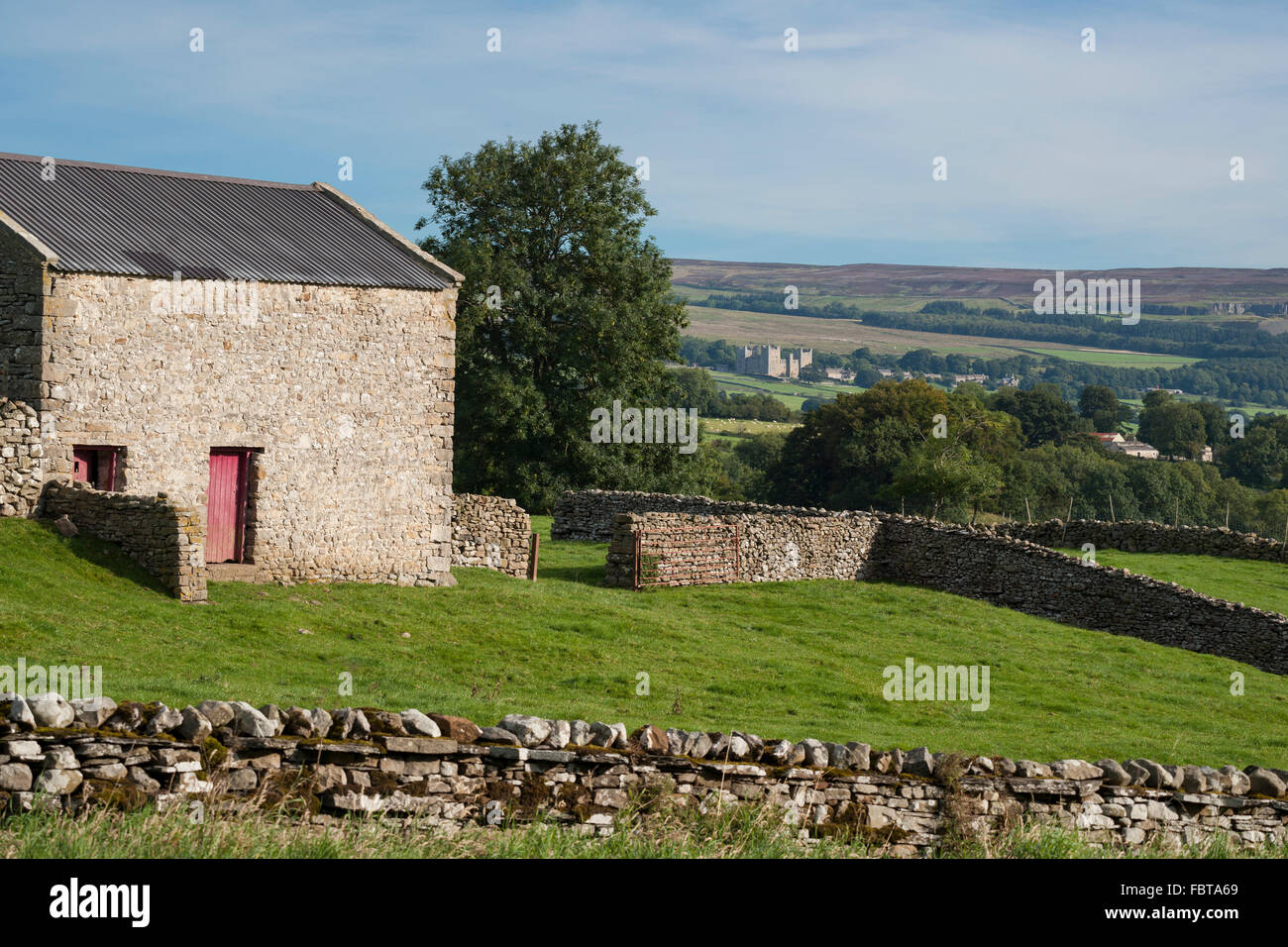 Blick über Wensleydale Burg Bolton, North Yorkshire, England, UK Stockfoto