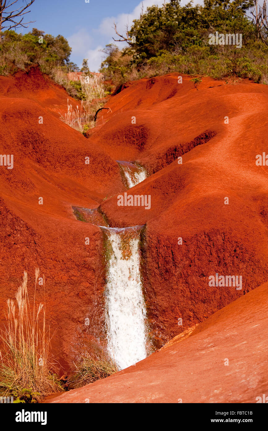 Wasser läuft in einen Strom hinunter den hellen roten Schmutz von Waimea Canyon auf Kauai Stockfoto