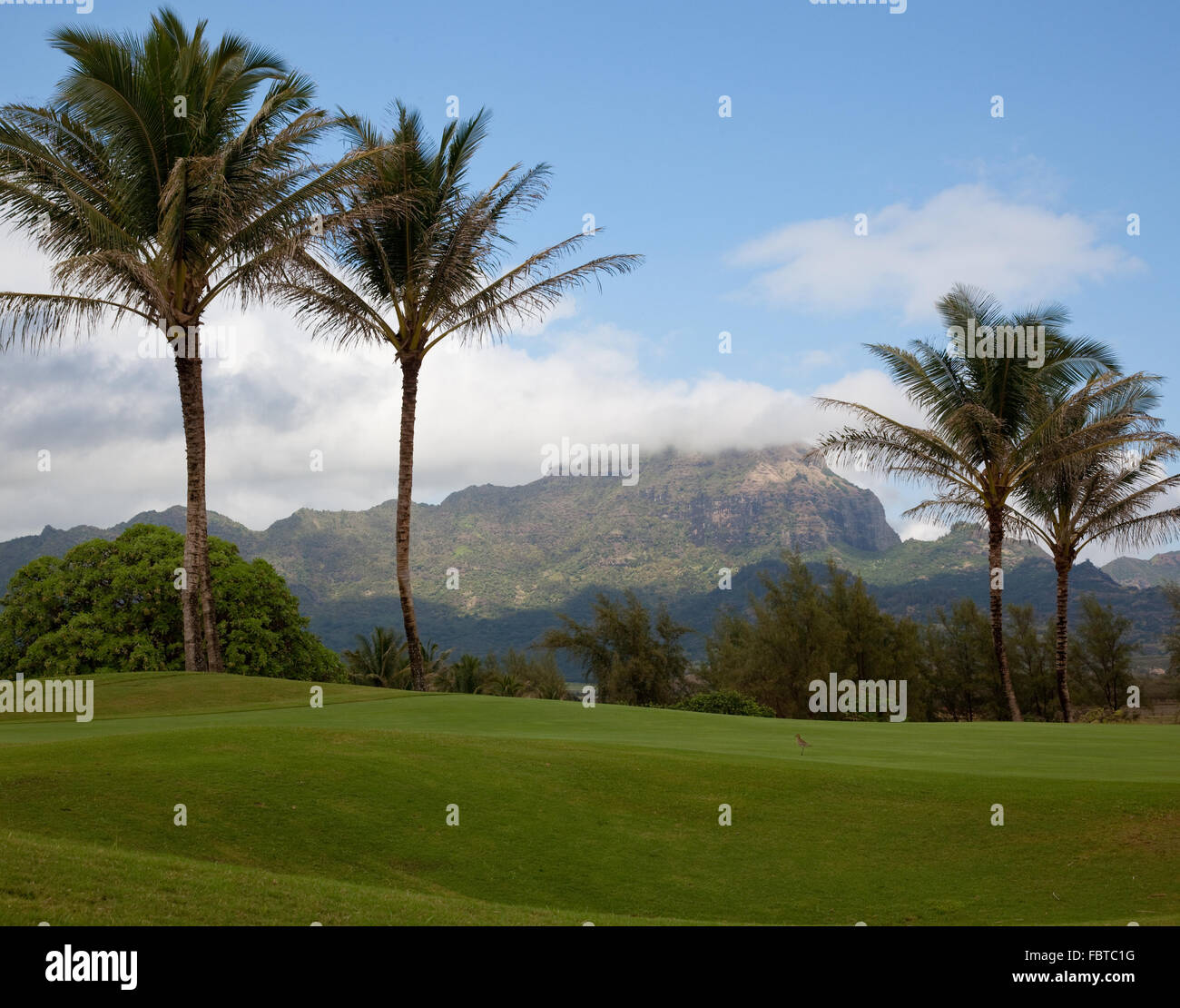 Blick Richtung fernen Hügel im Süden von Kauai in Hawaii Stockfoto