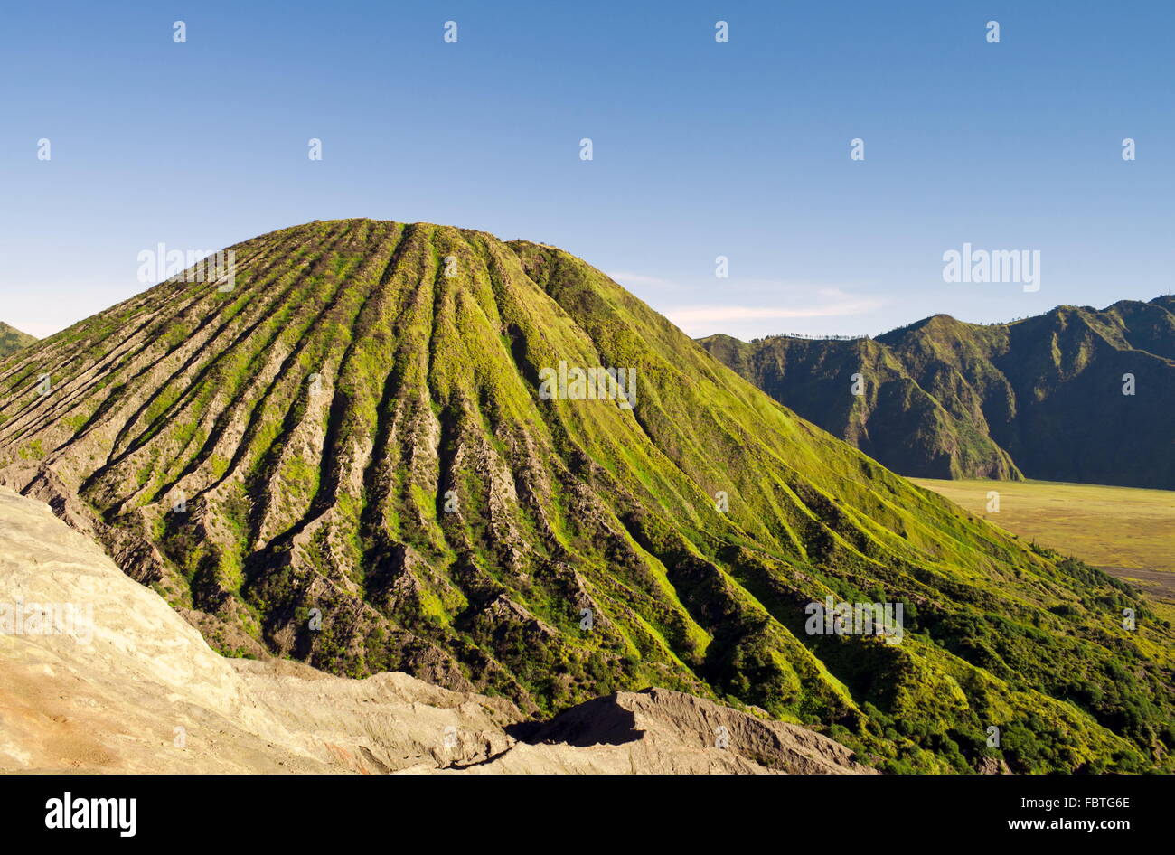 Grüner Vulkan am Morgen Stockfoto