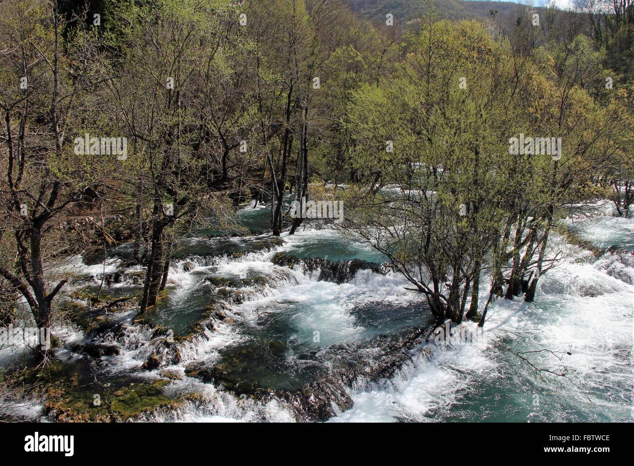 Martin brod Fotos und Bildmaterial in hoher Auflösung Alamy