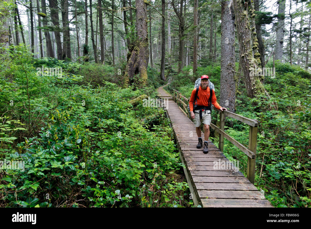 Kanada - BRITISH COLUMBIA - Wanderer auf dem Boardwalk durch bewaldete Teil der West Coast Trail nördlich von Tsusiat Falls. Stockfoto