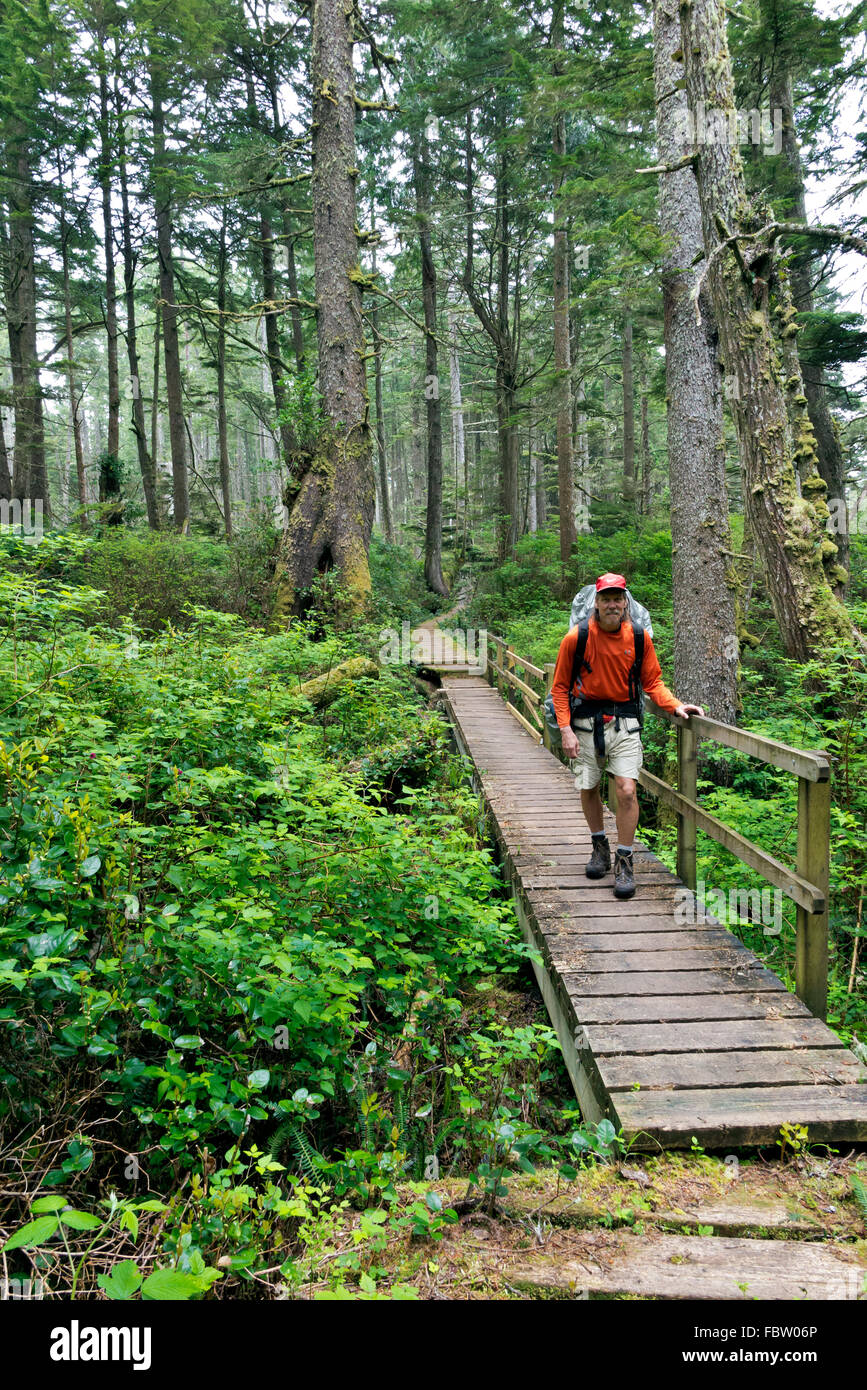 BRITISH COLUMBIA-Wanderer am Boardwalk durch bewaldete Teil der West Coast Trail nördlich von Tsusiat Falls am Pazifischen Ozean Stockfoto