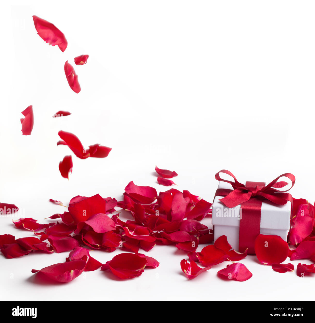 Rote Rosen und Geschenk-Box auf weißem Hintergrund, Valentinstag-Konzept. Stockfoto