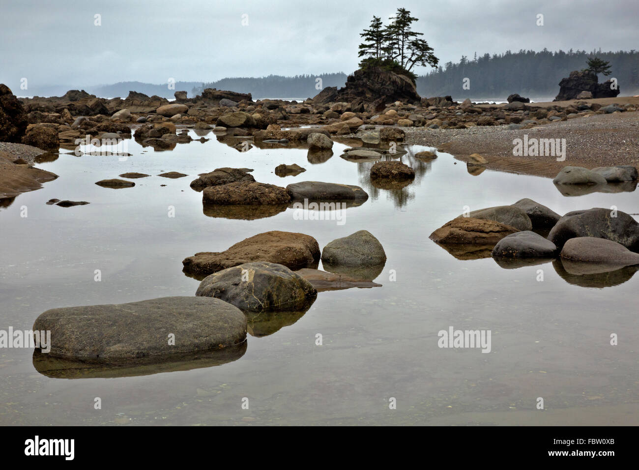 BC00482-00... BRITISH COLUMBIA - Felsen in Krippen Creek entlang der West Coast Trail im Pacific Rim National Park. Stockfoto